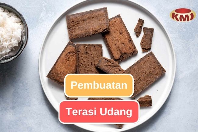 Ketahui Proses Pembuatan Terasi Udang